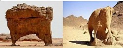 عامل الطبيعة